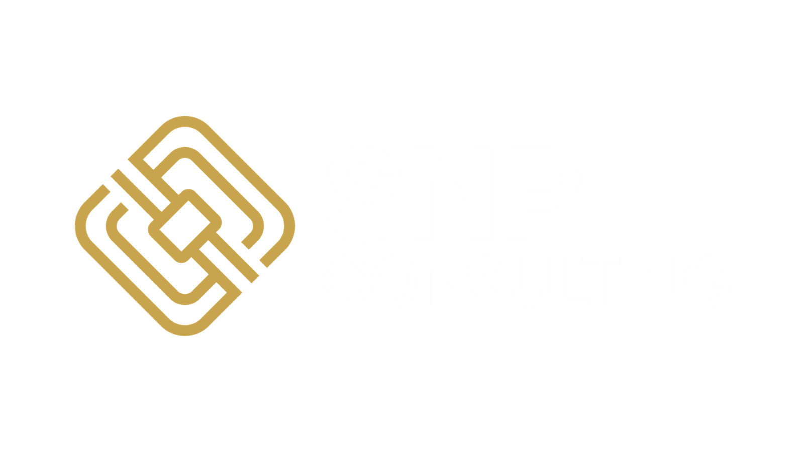 SNP Consulting